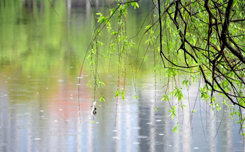 雨中的守护者 —— 玉门珍珠棉的应用实践